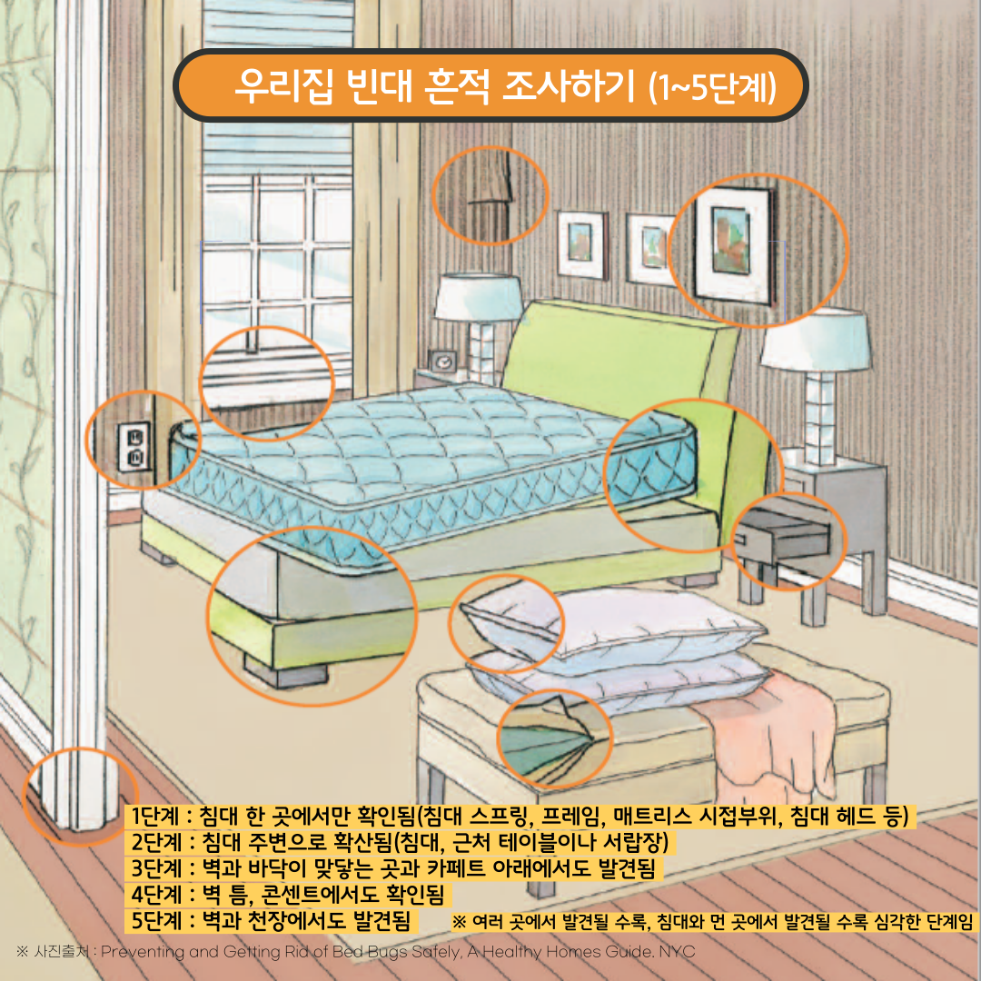 빈대 흔적 조사.png